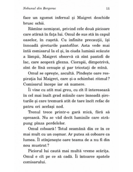 Nebunul din Bergerac