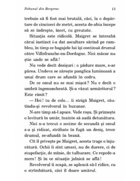 Nebunul din Bergerac