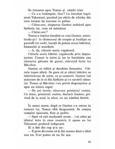 Un idiot minunat Un idiot minunat
