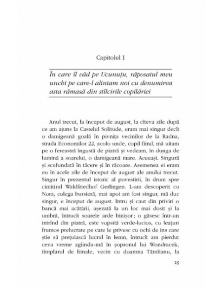 Misterele Castelului Solitude sau despre singurătate la vreme de iarnă