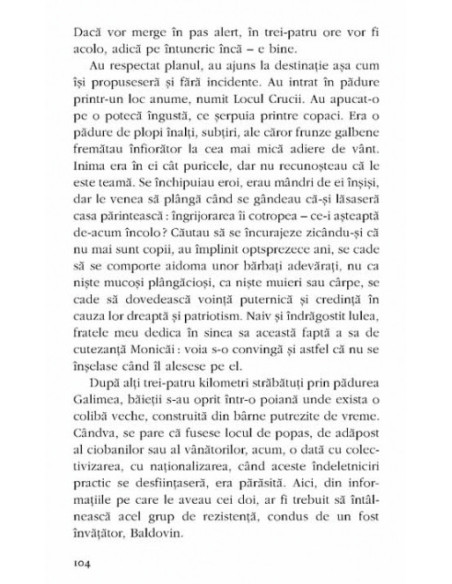 Visul copilului care pășește pe zăpadă fără să lase urme sau invizibilul, descriere  amănunțită