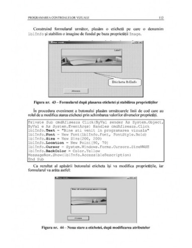 Dezvoltarea aplicaţiilor în Visual...