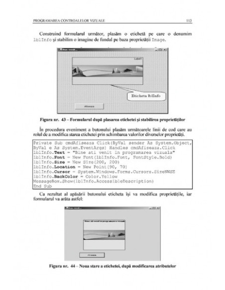 Dezvoltarea aplicaţiilor în Visual Basic.NET