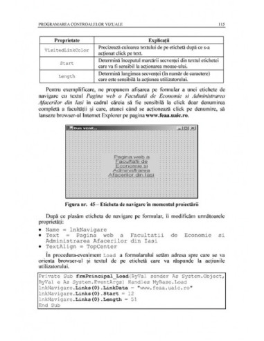 Dezvoltarea aplicaţiilor în Visual...