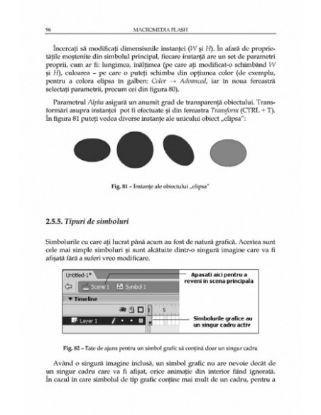 Macromedia Flash. Concepte, exemple, studii de caz