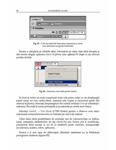 Macromedia Flash. Concepte, exemple,...