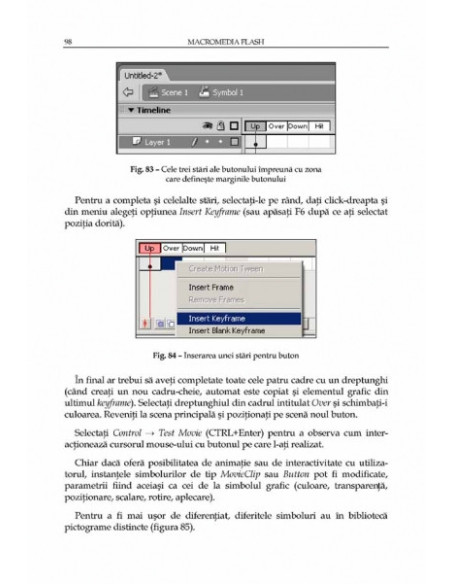 Macromedia Flash. Concepte, exemple, studii de caz