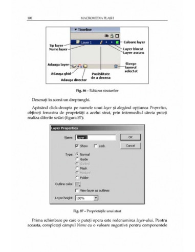 Macromedia Flash. Concepte, exemple,...