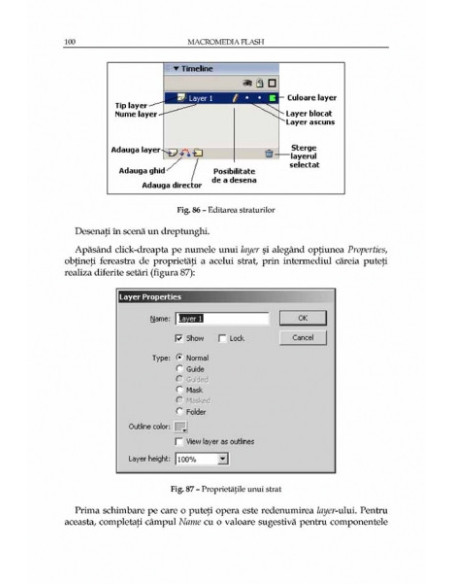 Macromedia Flash. Concepte, exemple, studii de caz