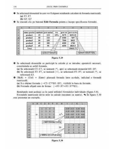 Excel prin exemple