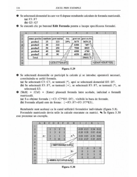Excel prin exemple