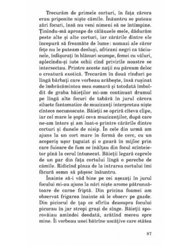 Acordorul de piane Acordorul de piane