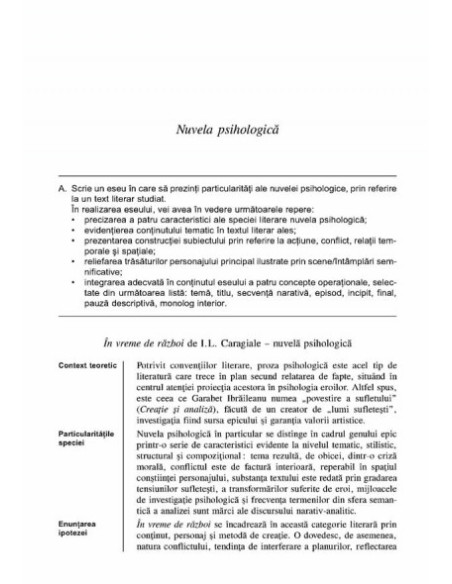 Literatura română pentru bacalaureat. Eseuri și teste