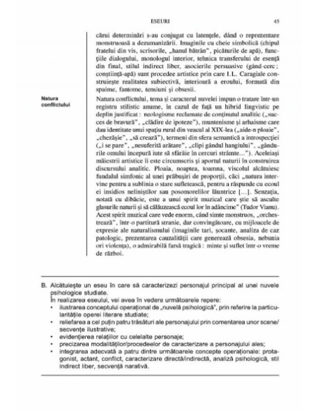 Literatura română pentru bacalaureat. Eseuri și teste