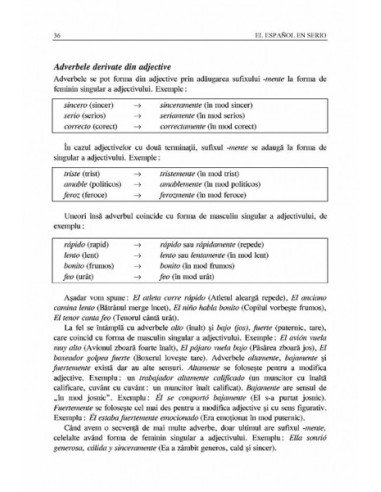 El español en serio. Curs practic de...