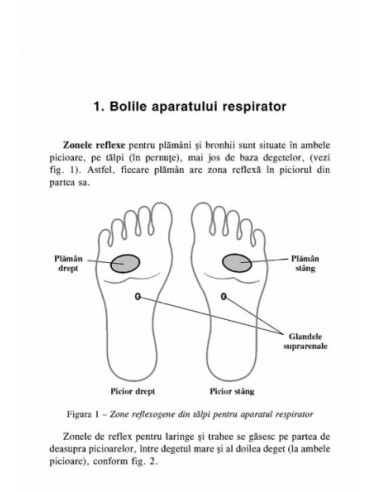 Incursiune în reflexoterapie