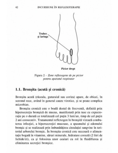 Incursiune în reflexoterapie