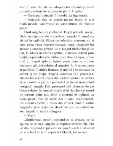 Caloriferistul și nevasta hermeneutului