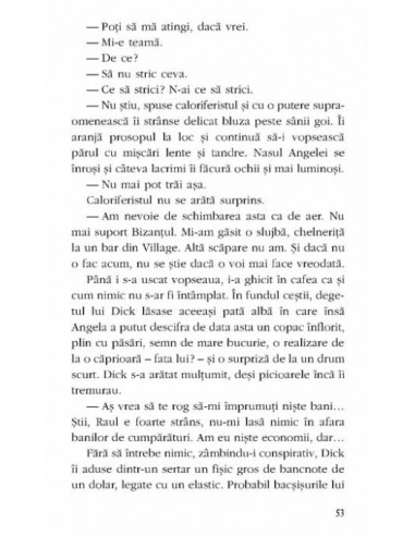 Caloriferistul și nevasta hermeneutului