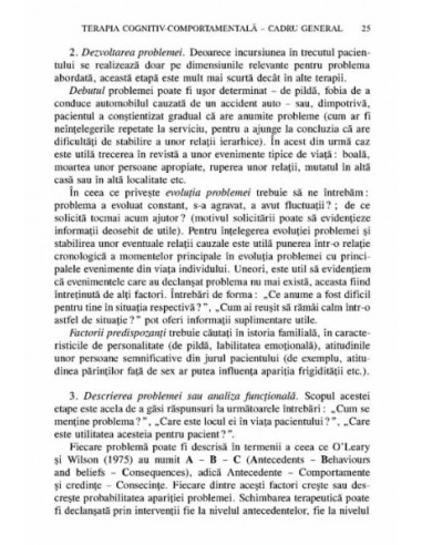 Psihoterapii scurte. Strategii,...