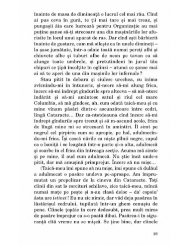 Zbor deasupra unui cuib de cuci Zbor deasupra unui cuib de cuci