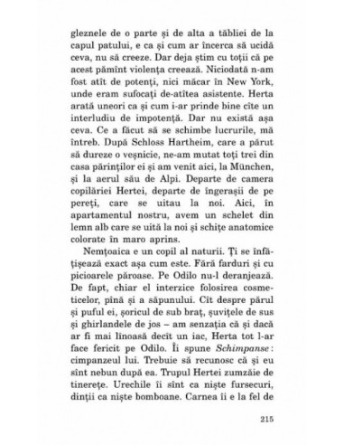 Săgeata timpului Săgeata timpului
