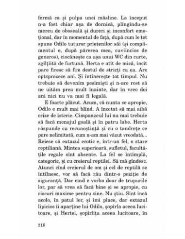 Săgeata timpului Săgeata timpului