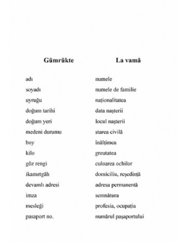 Ghid de conversație turc-român