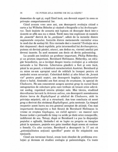 Ce putem afla despre om de la gâşte?