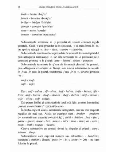 Limba engleză. Prima ta gramatică