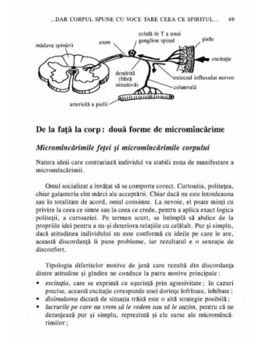 Sinergologia. De la limbajul trupului...