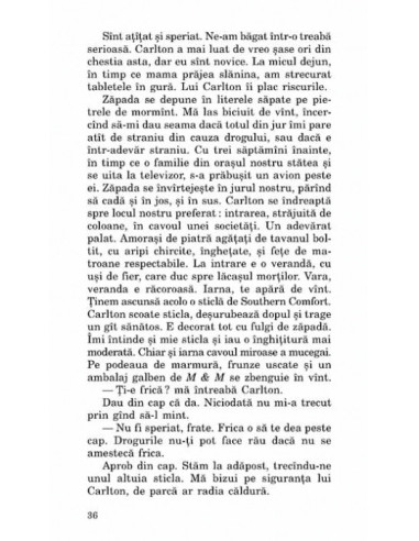 O casă la capătul lumii O casă la capătul lumii