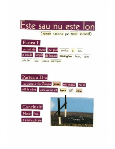 Este sau nu este Ion Este sau nu este Ion