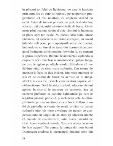 Mașa și Extraterestrul