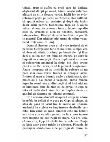 Păunul alb Păunul alb