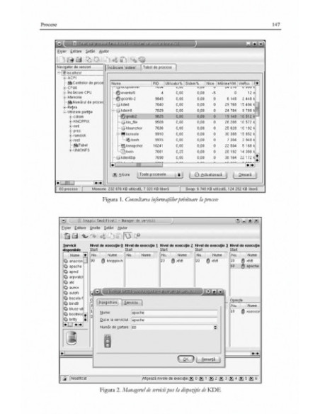 Primii pași în Linux