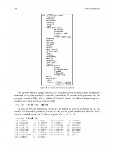 Primii pași în Linux