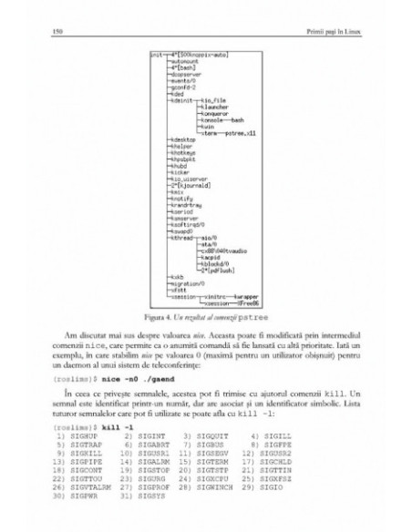 Primii pași în Linux