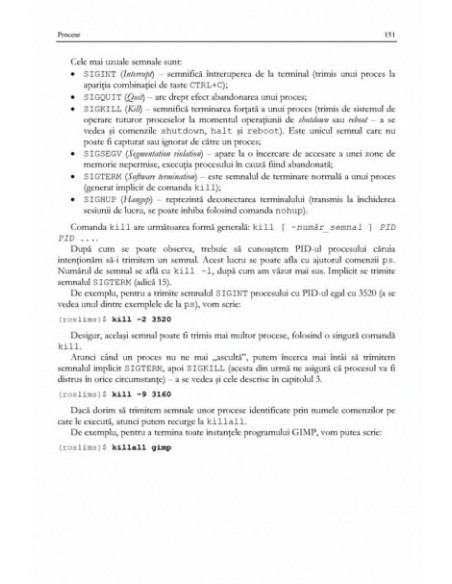 Primii pași în Linux