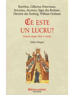 Ce este un lucru?