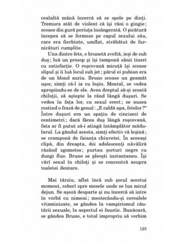 Particulele elementare