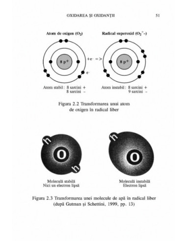 Vitamine şi minerale pentru sănătate... Vitamine şi minerale pentru sănătate...