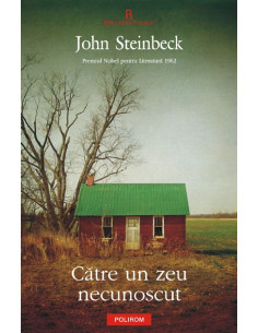 Către un zeu necunoscut