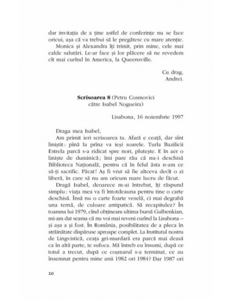 Se înnoptează. Se lasă ceața