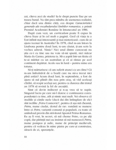 Se înnoptează. Se lasă ceața