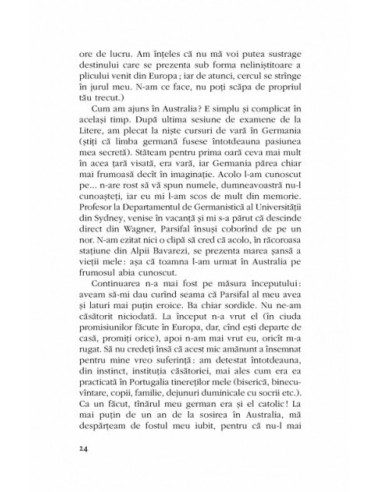 Se înnoptează. Se lasă ceața