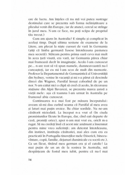 Se înnoptează. Se lasă ceața