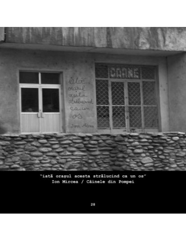 Antologia poeziei româneşti la zid