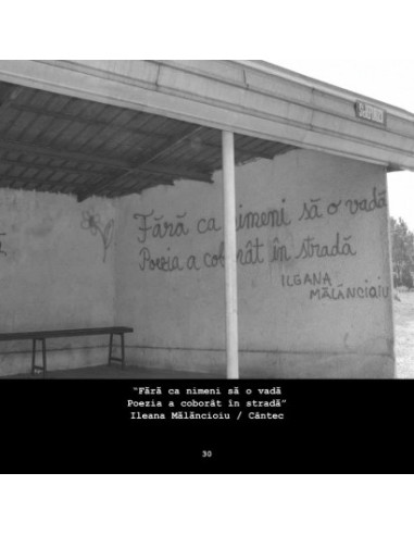 Antologia poeziei româneşti la zid