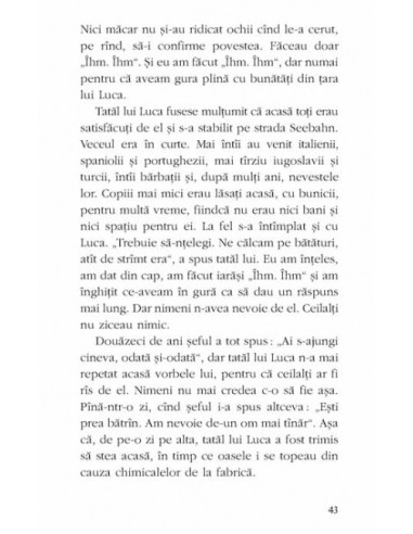 Drumul scurt spre casă Drumul scurt spre casă